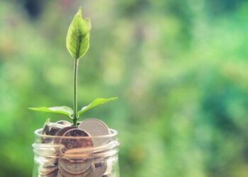 Investing for income
